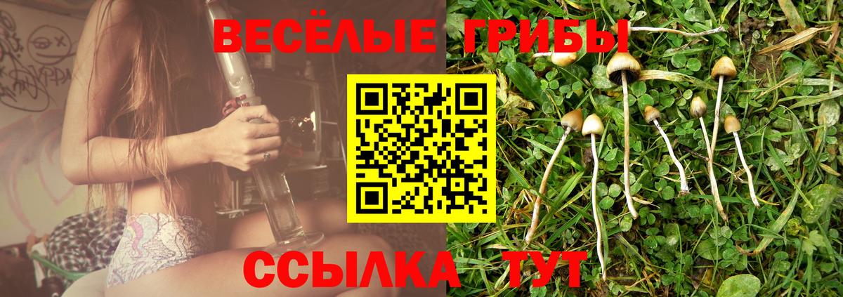 Зима  даркнет сайт  Вход с VPN  Галлюциногенные грибы Psilocybe 