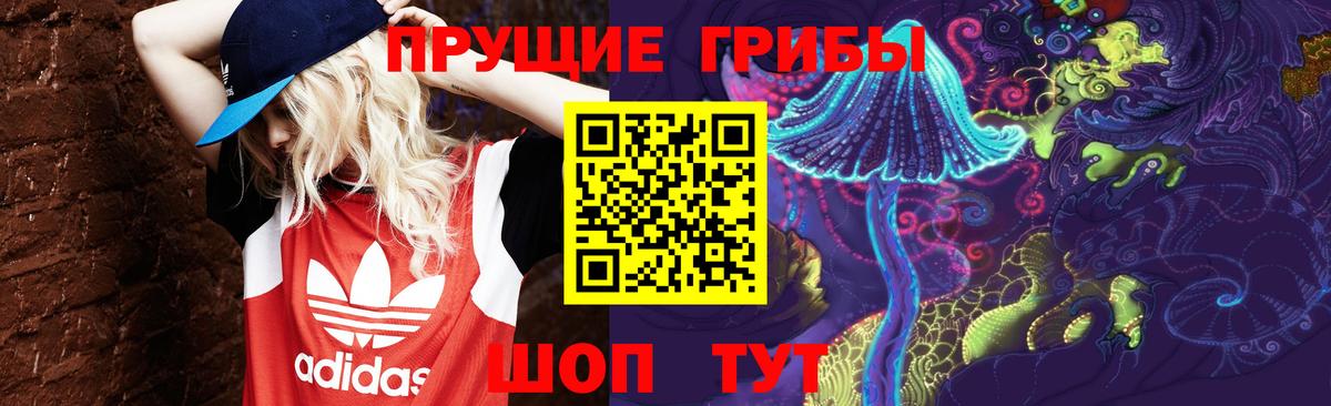 Галлюциногенные грибы Psilocybine cubensis Зима